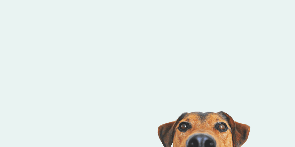 Banner background